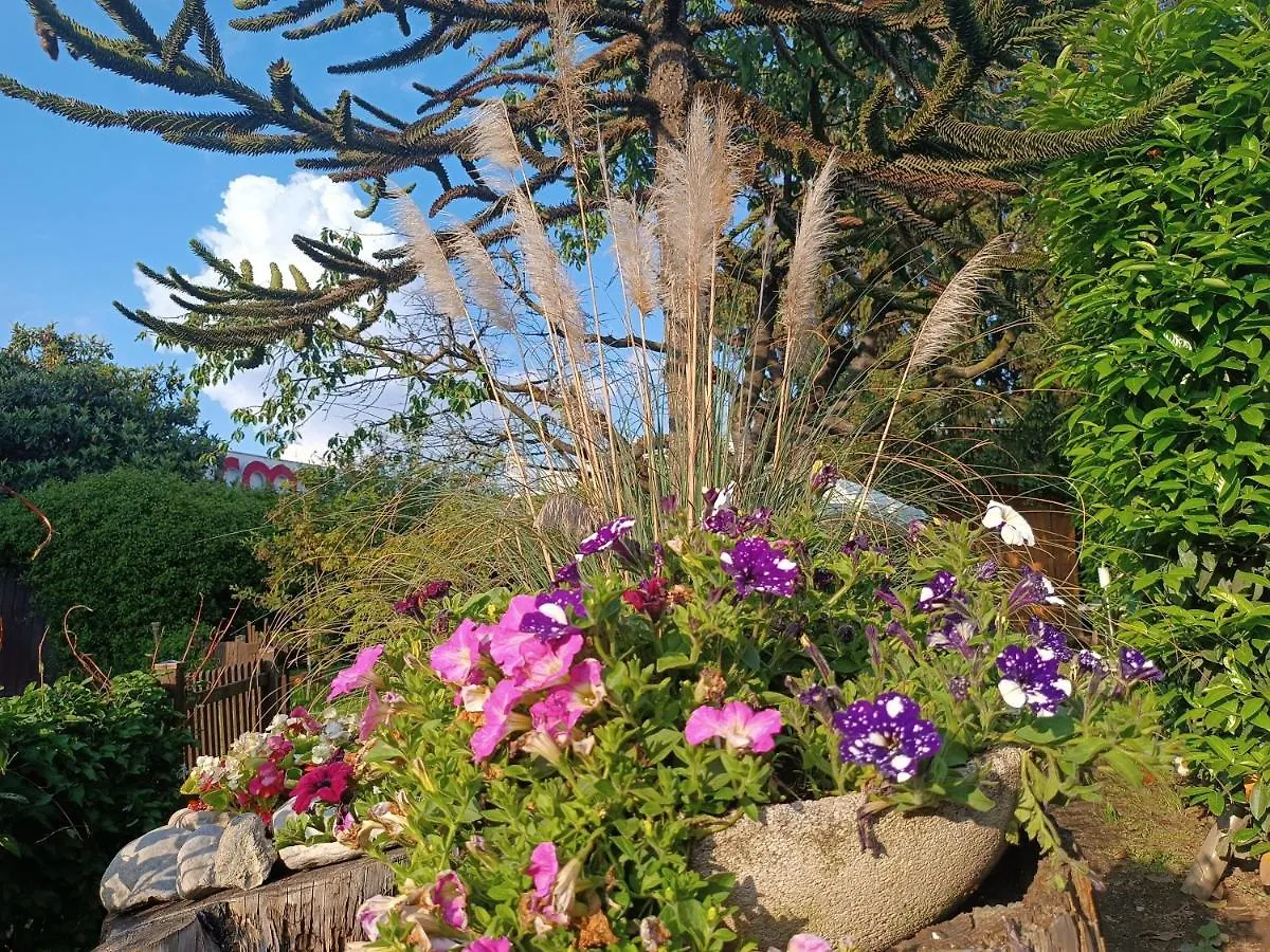B&B Il Tulipano Como
