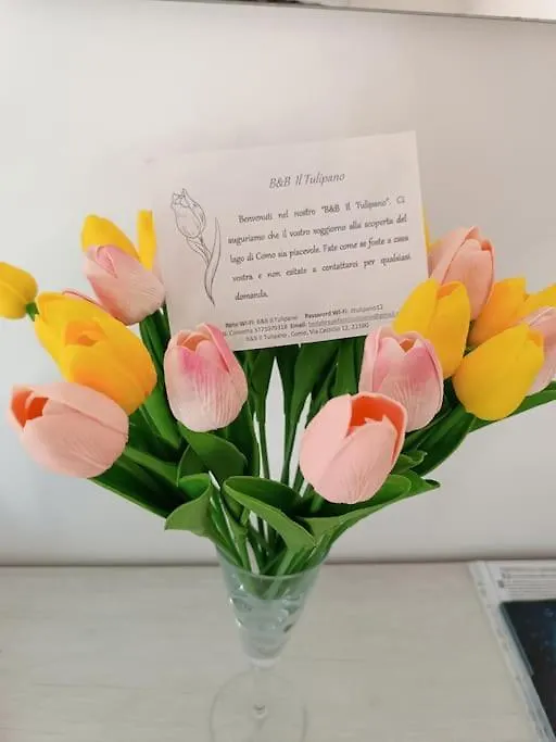 B&B Il Tulipano Como 0*,  Italien